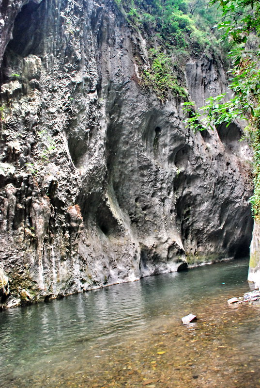 dsc_0476.jpg