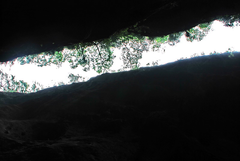 dsc_0482.jpg