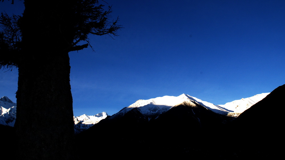 dsc_0569-1-1.jpg