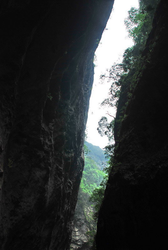 dsc_0487.jpg