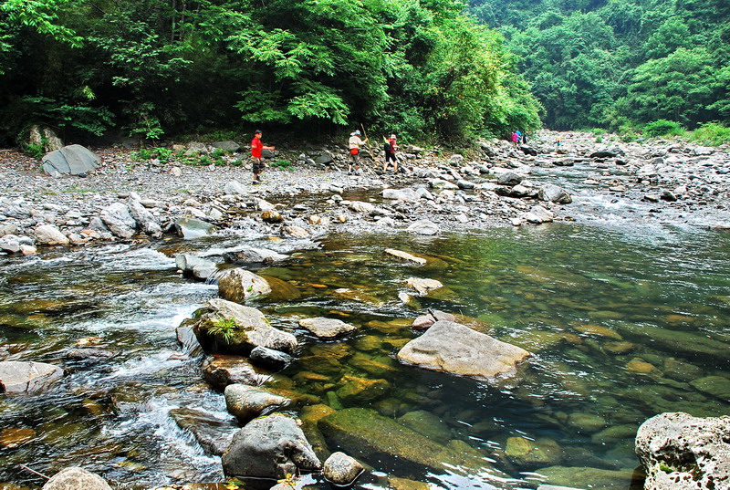 dsc_0455.jpg