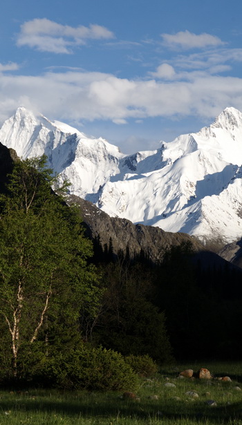 dsc_0393-1-1.jpg