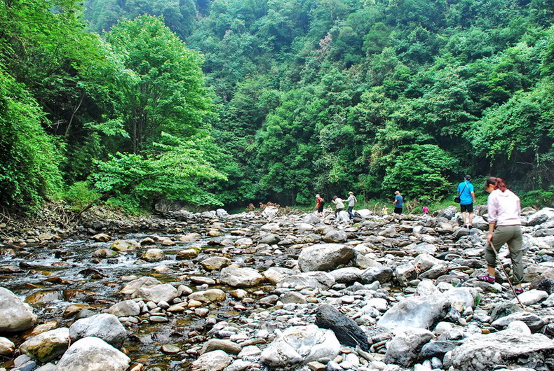 dsc_0458.jpg
