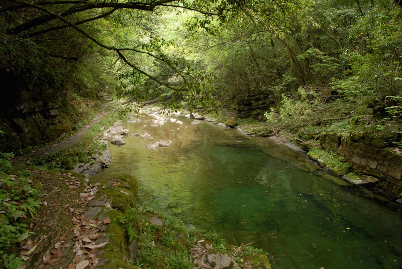 dsc_0370.jpg