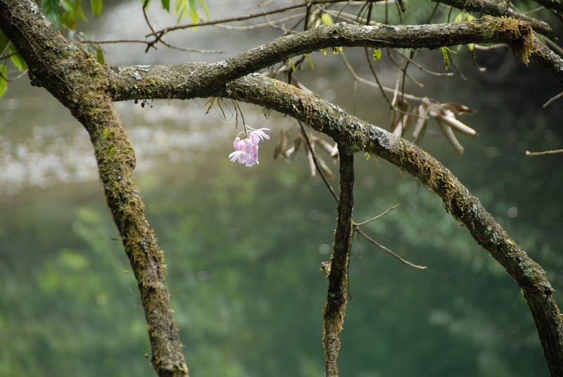 dsc_0403.jpg