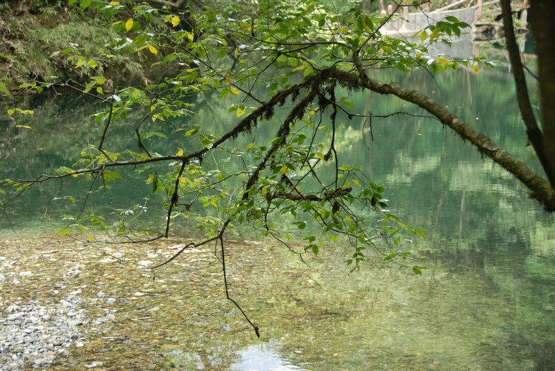 dsc_0406.jpg