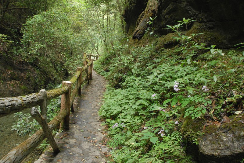 dsc_0416.jpg