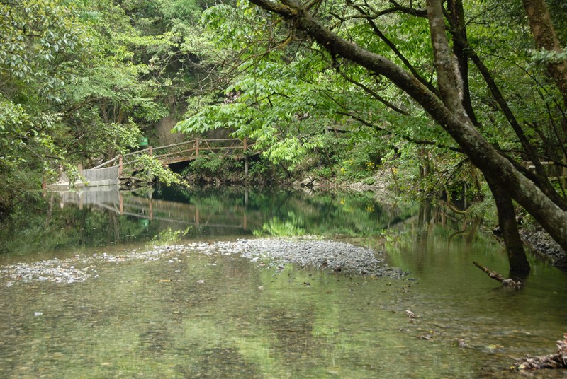 dsc_0410.jpg