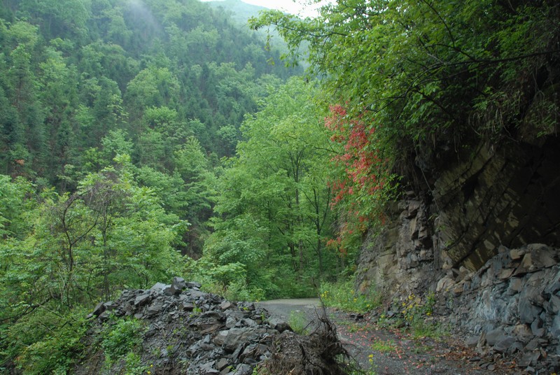 dsc_0509.jpg