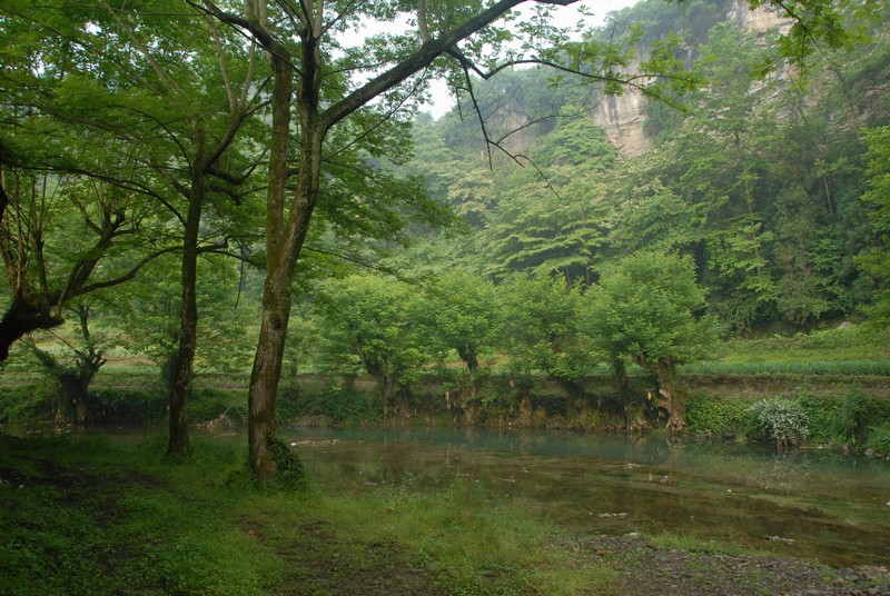 dsc_0646.jpg