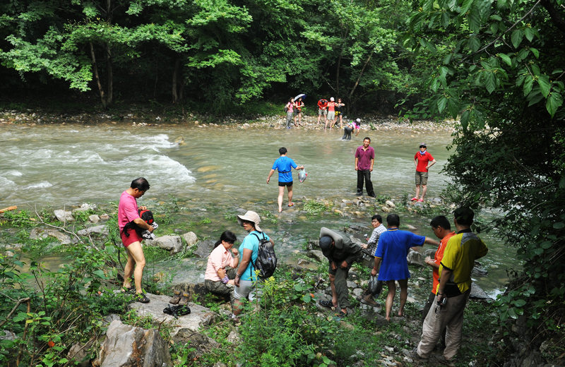 dsc_8187.jpg
