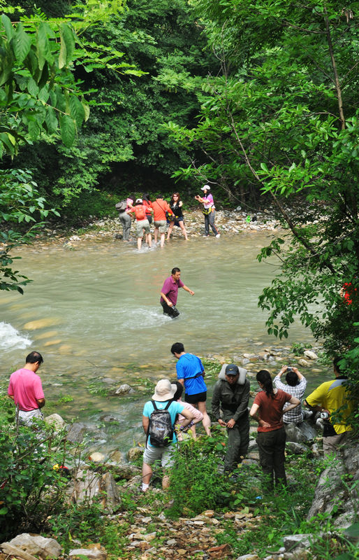 dsc_8184.jpg