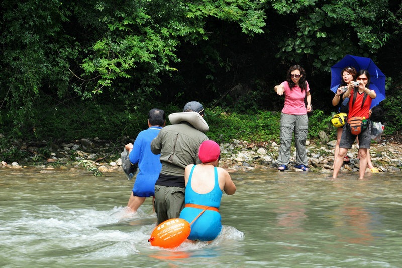 dsc_8194.jpg