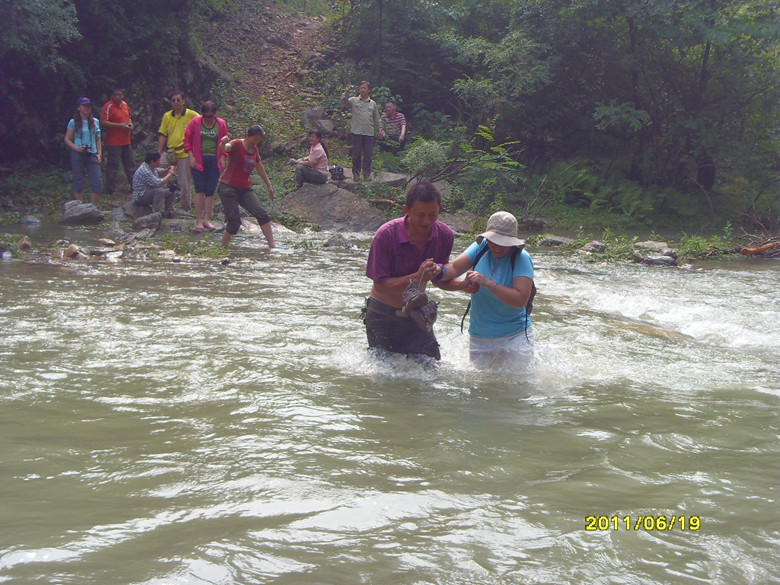 sdc12254_.jpg
