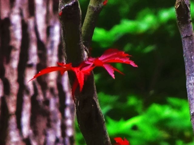 img_1409-5.jpg