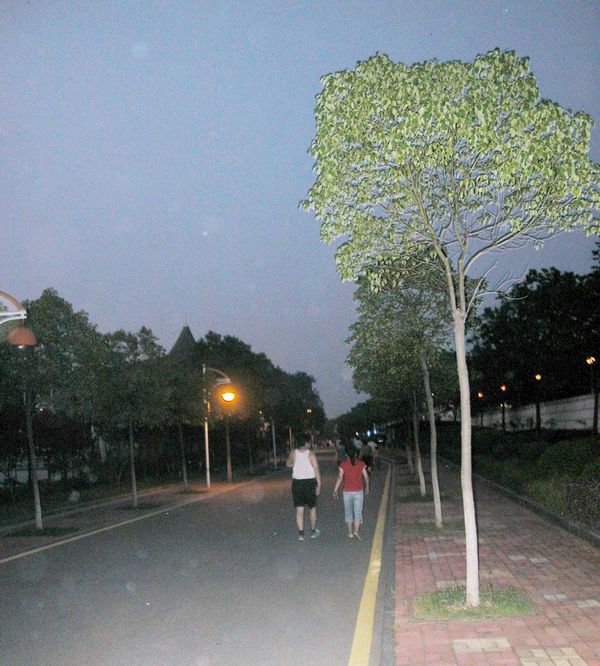 dscn2335.jpg