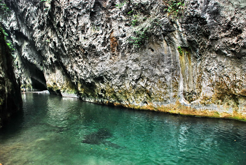 dsc_0493.jpg