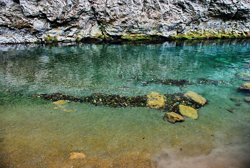 dsc_0494.jpg