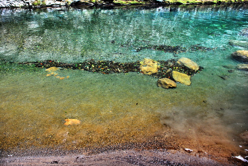 dsc_0496.jpg