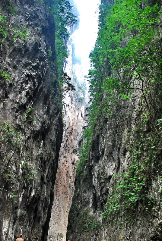 dsc_0519.jpg