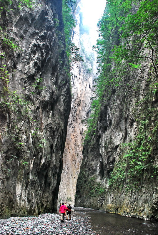 dsc_0521.jpg