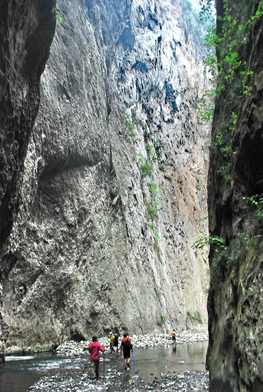 dsc_0524.jpg