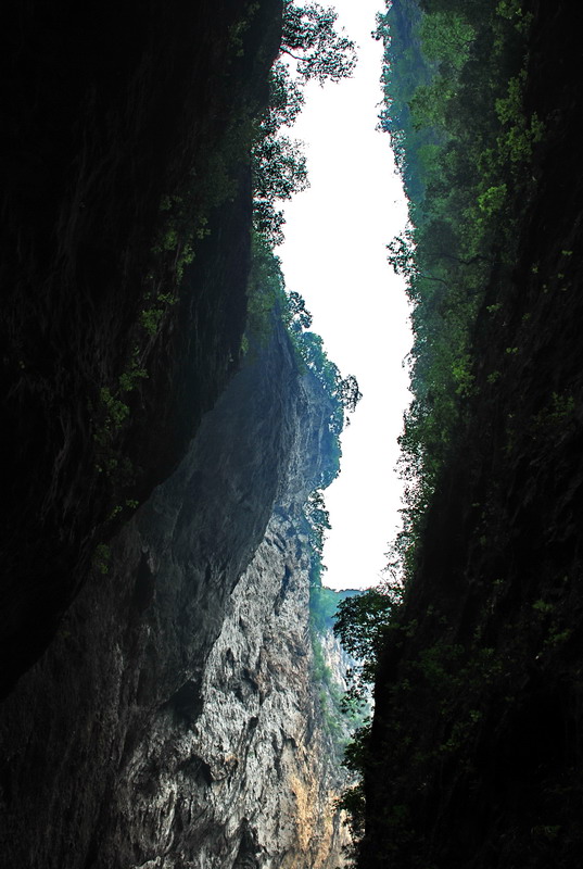 dsc_0525.jpg