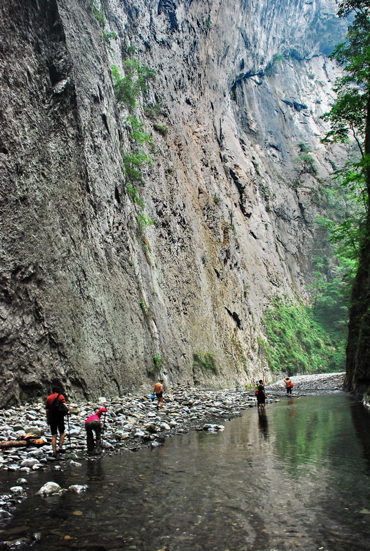 dsc_0528.jpg