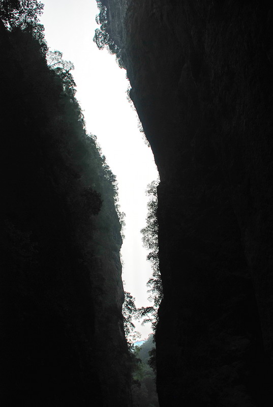 dsc_0530.jpg
