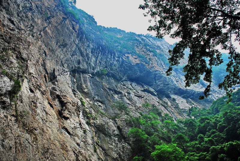 dsc_0540.jpg
