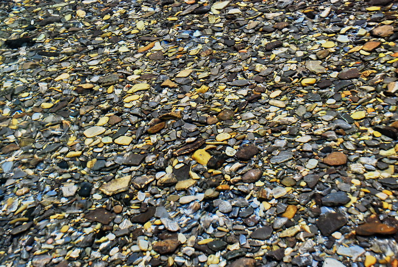 dsc_0502.jpg
