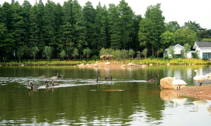 118.jpg