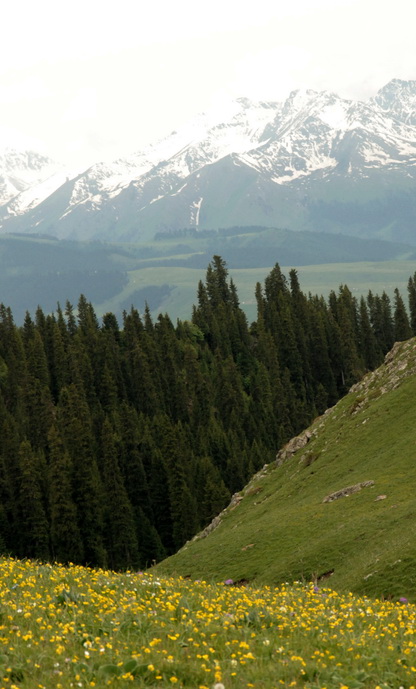 dsc_0822-1.jpg