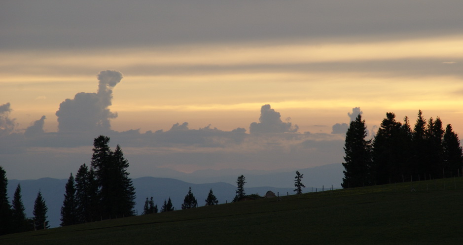 dsc_0856-1.jpg