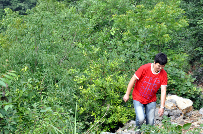 dsc_8178.jpg