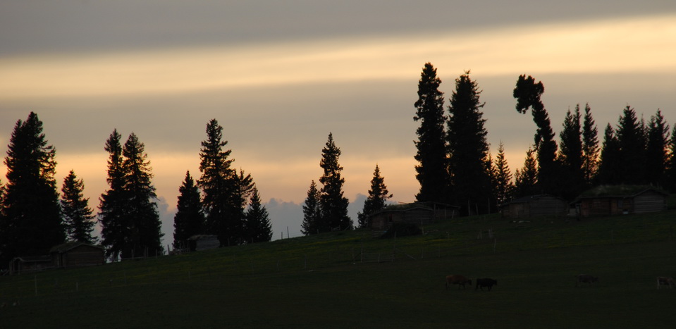 dsc_0850-1.jpg