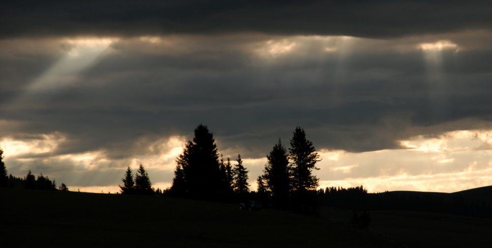 dsc_0906-1-1.jpg