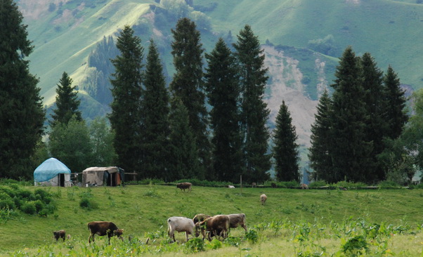 dsc_0992-1.jpg