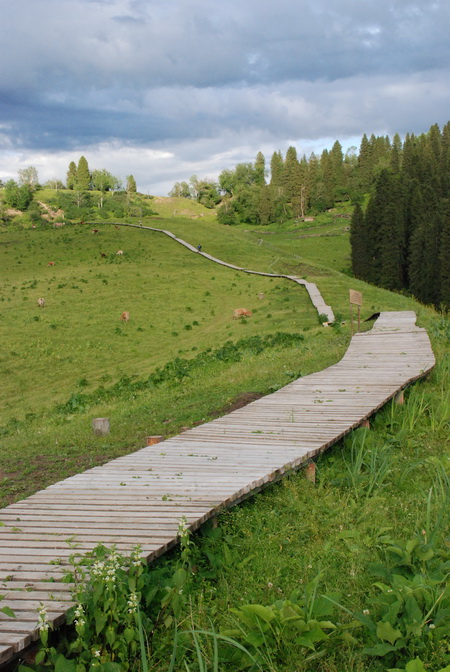 dsc_0987-1.jpg