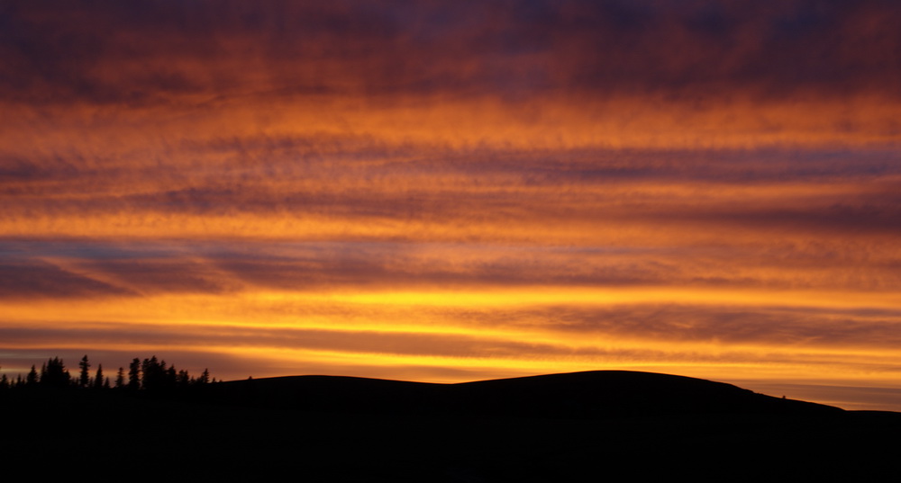 dsc_0870-1-1.jpg