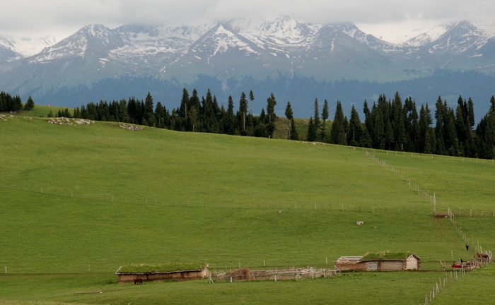 dsc_0777-1-1.jpg