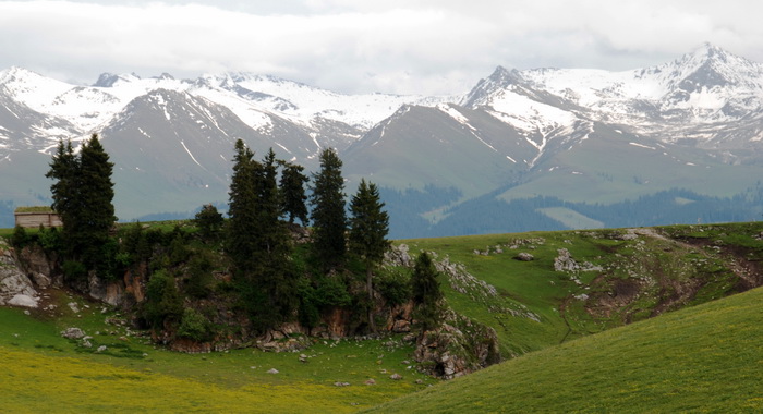 dsc_0811-1-1.jpg