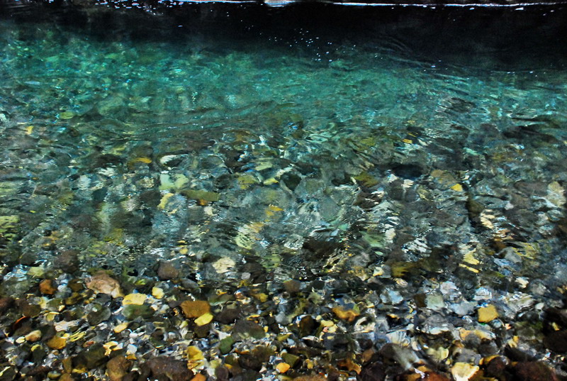 dsc_0576.jpg