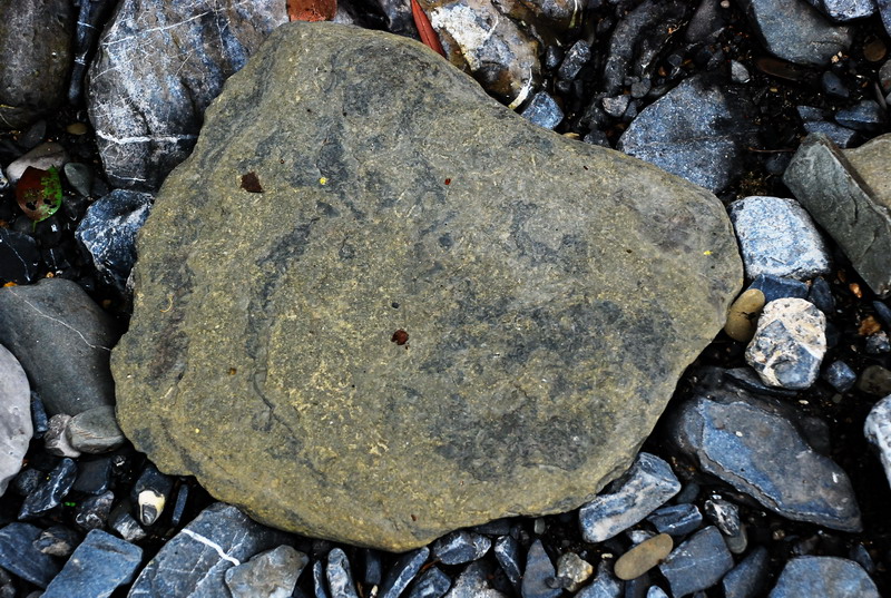 dsc_0577.jpg