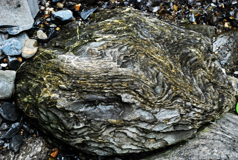 dsc_0580.jpg