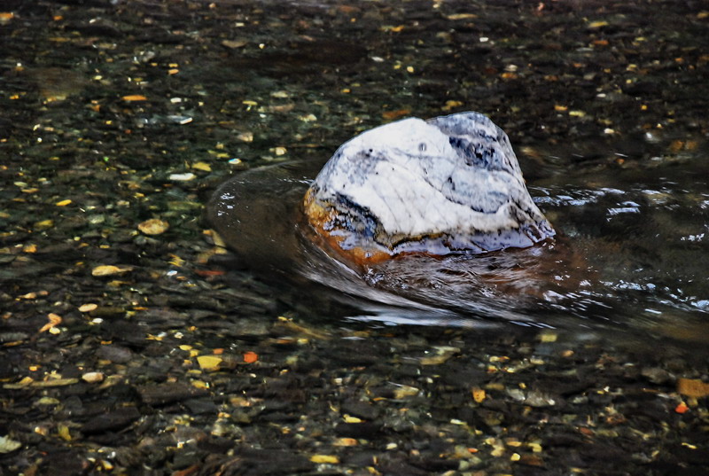 dsc_0589.jpg