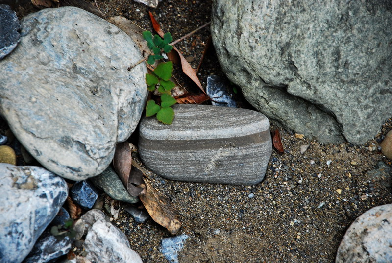 dsc_0592.jpg