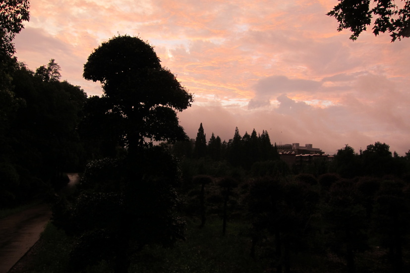 ʺ25132.jpg