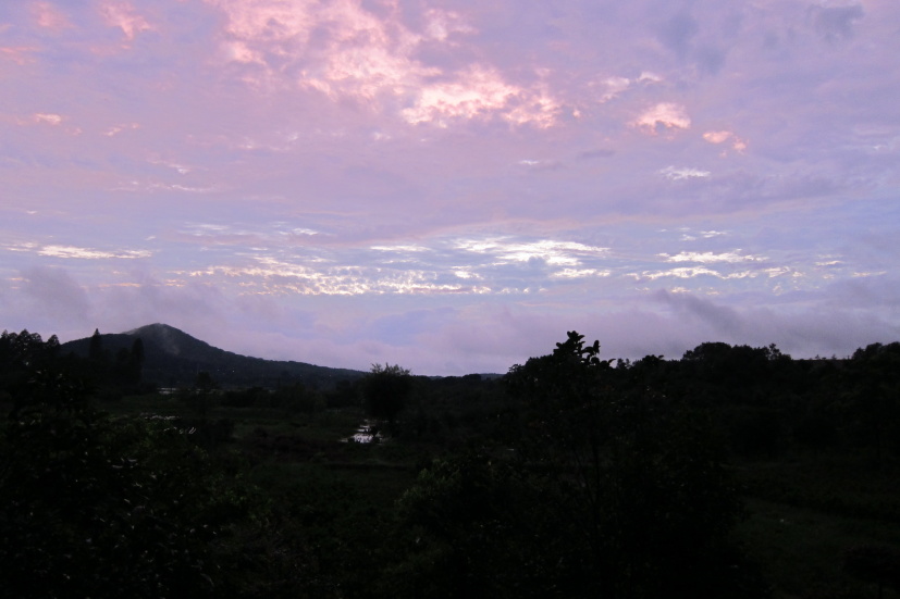 ʺ25140.jpg
