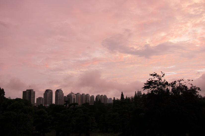 ʺ25136.jpg